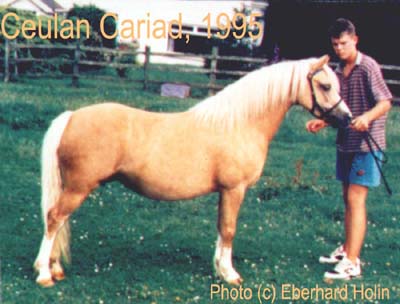 Ceulan Cariad 1995