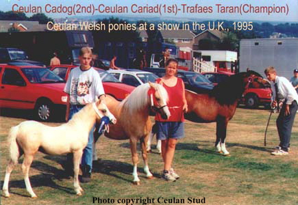 Cadog, Cariad, and Taran