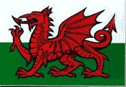 Flag of Wales, Y-Draig-Coch
